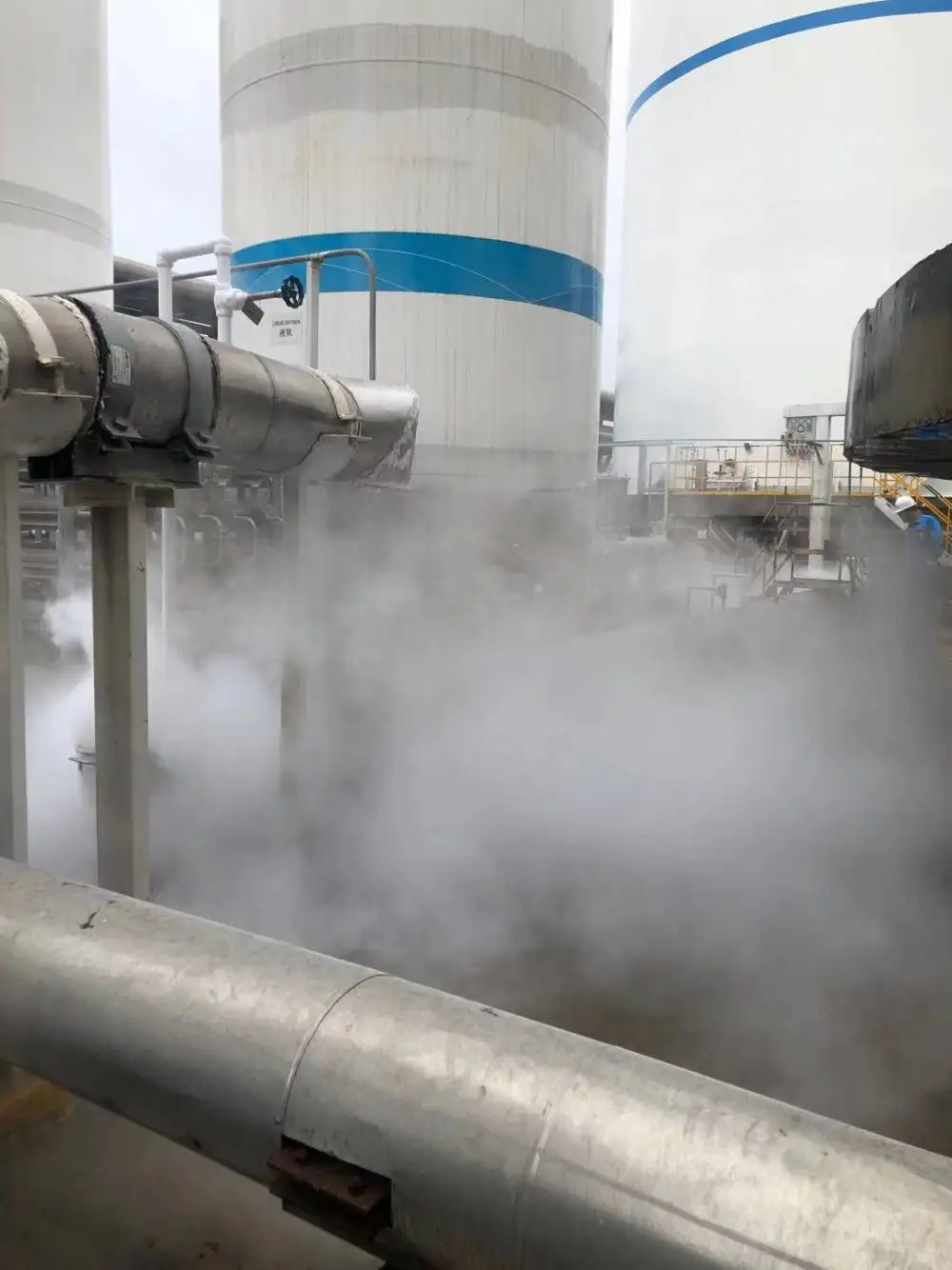 你知道多少關(guān)于氧氣的有趣冷知識呢？